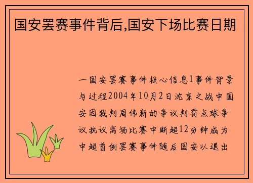 国安罢赛事件背后,国安下场比赛日期